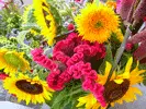 lefleurs